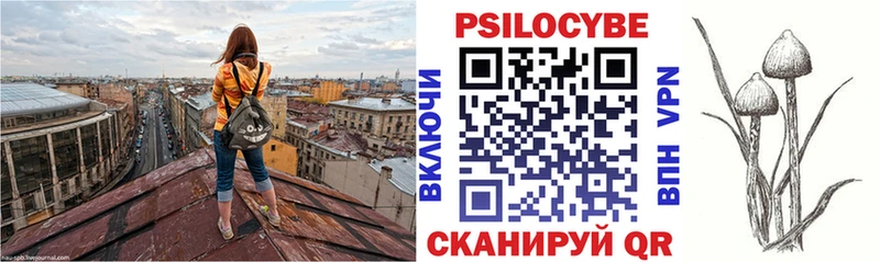 Псилоцибиновые грибы мухоморы  Купить закладки  Жигулёвск 